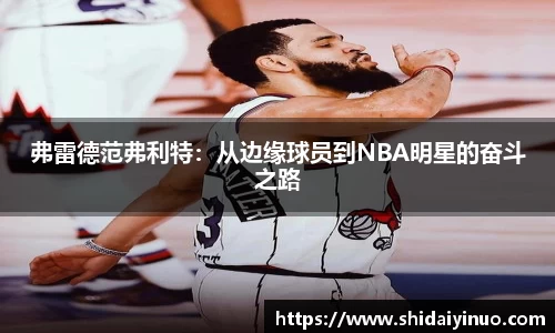 弗雷德范弗利特：从边缘球员到NBA明星的奋斗之路